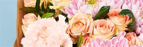 Myflowers discount code Send beautiful flower arrangements from 1-800-Flowers to brighten someone’s day! Whether looking for a floral arrangement of roses or mixed flowers, find something perfect!Laguna Flowers black friday sales, promo codes, coupons & deals, November 2023